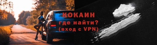 сатива Аркадак