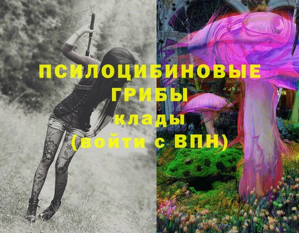 сатива Аркадак